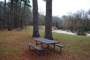 Picnic Area at Coles Creek - milepost 17.5 - Mississippi
