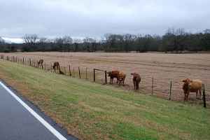 Parkway at milepost 45.7