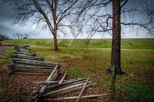 Fence Row at Emerald Mound
