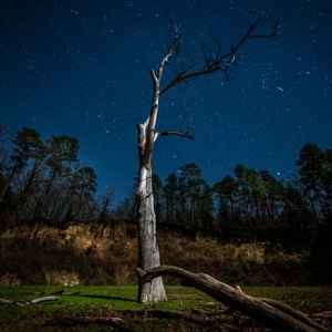 Loess Bluff under a Night Sky